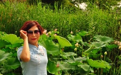 黄sei网站有哪些